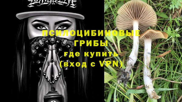 метадон Абинск