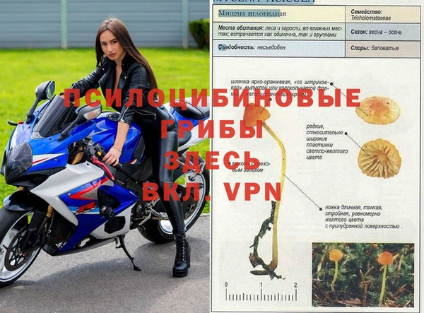 2c-b Алексин